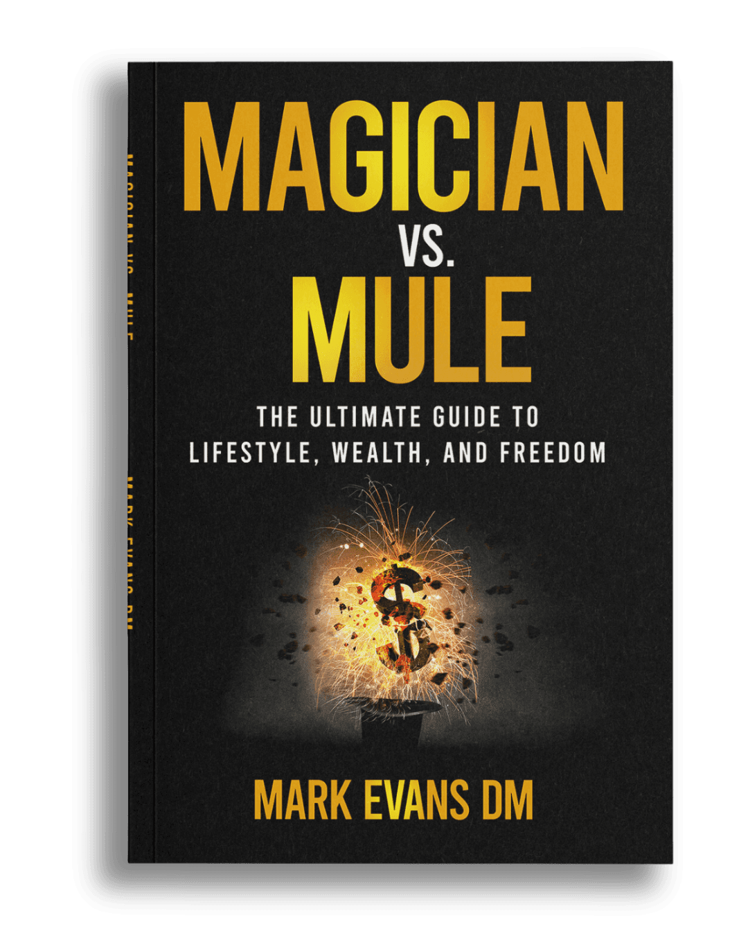 Magician vs. Mule book cover